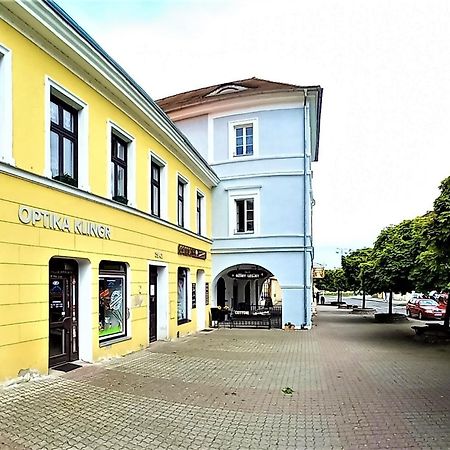 U Svate Ludmily Apartment Litoměřice Екстериор снимка