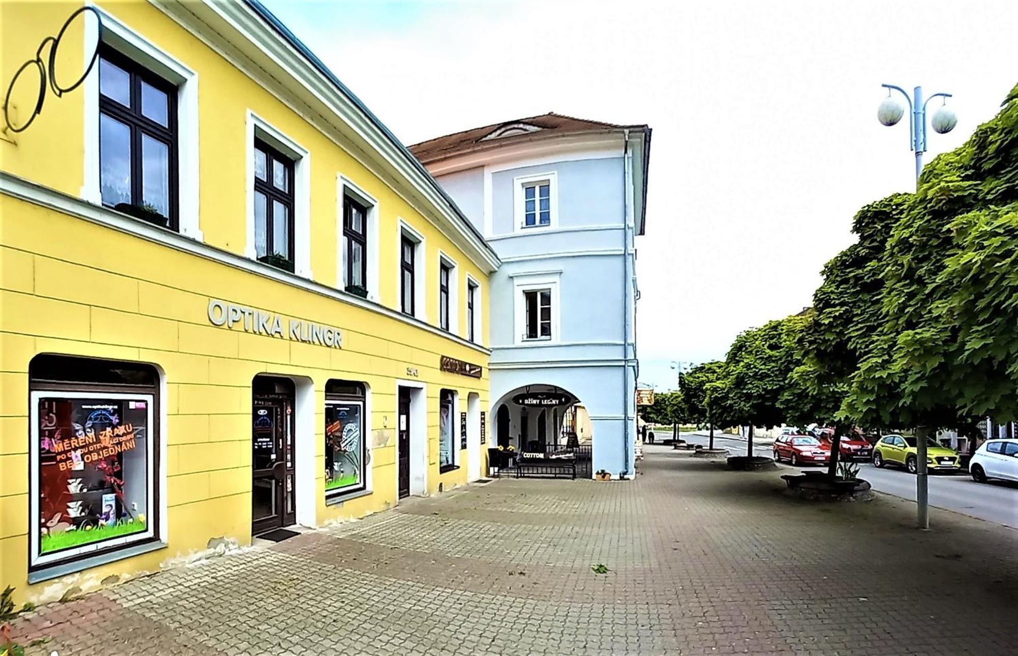 U Svate Ludmily Apartment Litoměřice Екстериор снимка